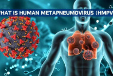 Apakah HMPV Virus Baru? Wabah Human Metapneumovirus (HMPV) Menjadi Sorotan