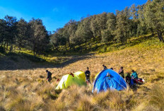 Pesugihan Gunung Lawu dan Kawi: Mengungkap Mitos dan Praktik Mistis di Balik Destinasi Wisata Bersejarah