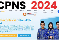 Pengumuman SKD CPNS 2024: Kemhan, BP2MI, dan Kemlu Sudah Mengumumkan – Siapkah Anda Melangkah ke Tahap Selanjutnya?