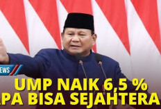 Kenaikan Gaji yang Menggemparkan! Pemerintahan Prabowo Hujani Buruh dengan UMP Naik 6,5%! Tiap Provinsi Di Seluruh Indonesia