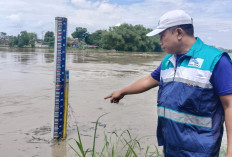 Info Ketinggian Air Bengawan Solo Hari ini: Bencana yang Mengguncang Perekonomian Petani Bojonegoro