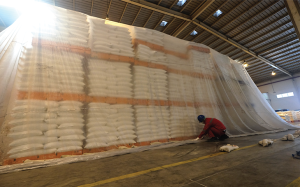 Obat Fumigasi vs. Obat Serangga: Mana yang Lebih Efisien?