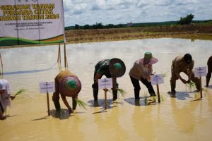 Gerakan Tanam Perdana di Kutim: Langkah Besar Menuju Ketahanan Pangan