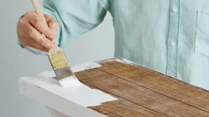 Cat Pelapis Anti Bocor Ramah Lingkungan dan Aman untuk Keluarga