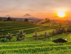 Tren Healing Lokal 2025: Desa Wisata Indonesia Jadi Destinasi Anti-Stres Favorit