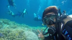Mengunjungi Raja Ampat: Tips, Spot Terbaik, dan Aktivitas Seru Bawah Laut
