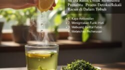 Manfaat Minum Teh Hijau Secara Rutin Untuk Membantu Proses Detoksifikasi Racun di Dalam Tubuh