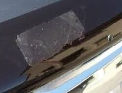 Cara Membersihkan Sisa Sticker Yang Menempel Pada Kaca Dengan Minyak Kayu Putih